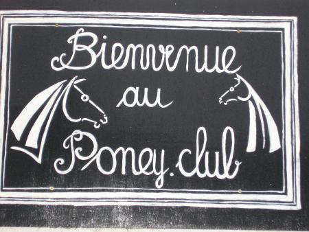 tinlin!mon poney club vous présente les chevaux!